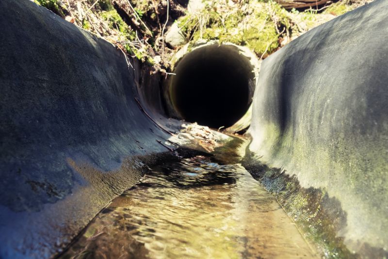 Vegetated Swale Post-Construction